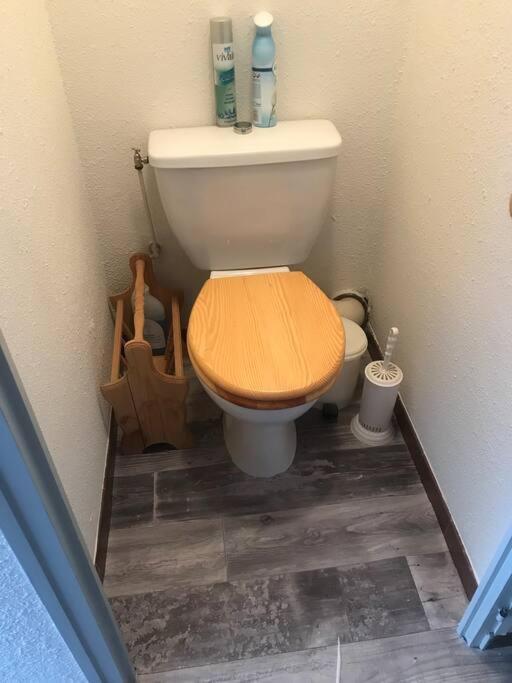 Ferienwohnung La Montagne « Un Coin D'Oxygene » Châtel Exterior foto