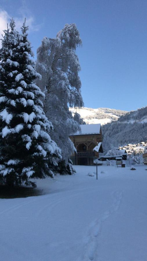 Ferienwohnung La Montagne « Un Coin D'Oxygene » Châtel Exterior foto