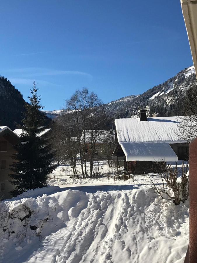 Ferienwohnung La Montagne « Un Coin D'Oxygene » Châtel Exterior foto